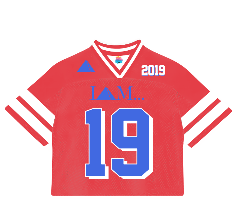 'UNITY' JERSEY -R/B OVERSIZED+BOXY MESH AND SOFTER POLY